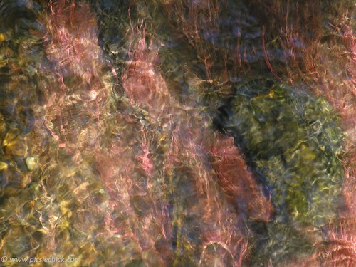 Photo of pink and green refracted through shimmering water, we stay with you woven in soul-family not by forcing our will upon your fluid nature.