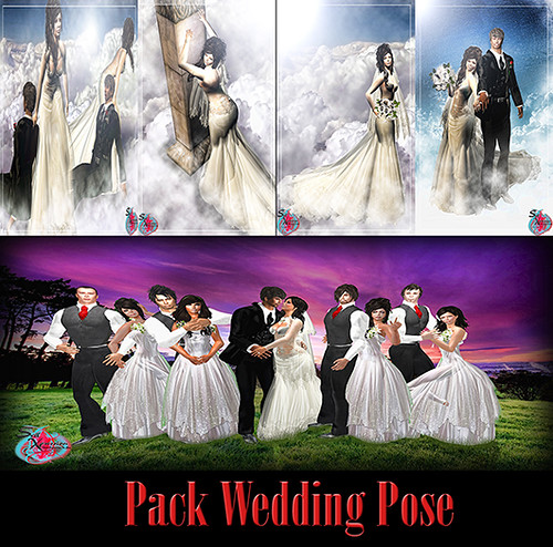 .:. Seil Xpression .:. Wedding Pose Pack 02  by Seil Xpression