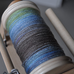 Day 10 - Finished Bobbin by Project Pictures