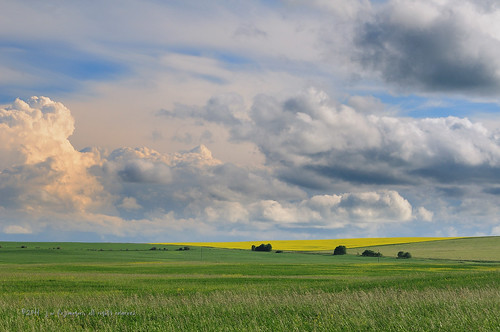 Fields And Clouds by johnfuj