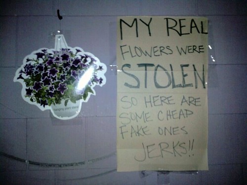 My real flowers were stolen so here are some cheap fake one jerks!!