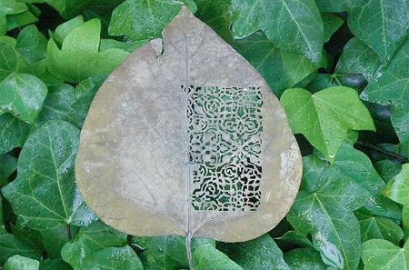 leaf03