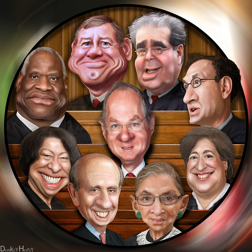 The Supreme Court 2011