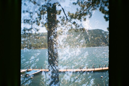Double Exposed Trees
