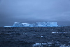 Icebergs in the Southern Ocean