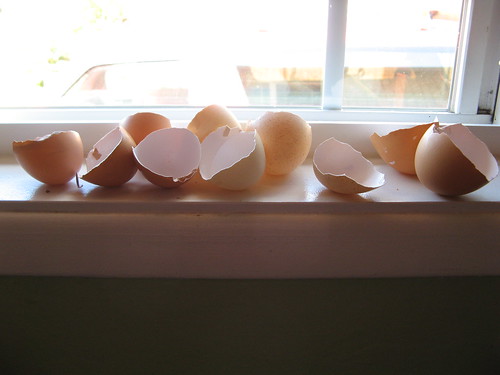 eggshells to translucent powder