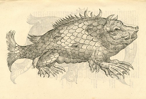 16th century woodcut of sea monster by Aldronvandi