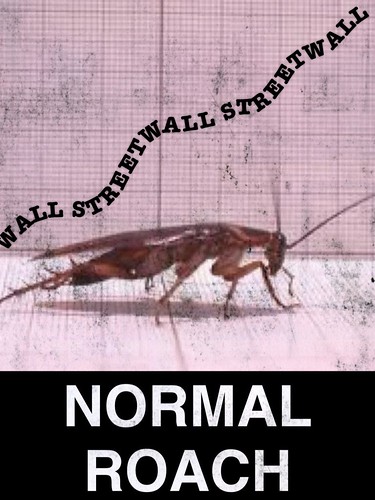 NORMAL ROACH by Colonel Flick