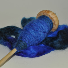 Day 19 - blue mohair by Project Pictures