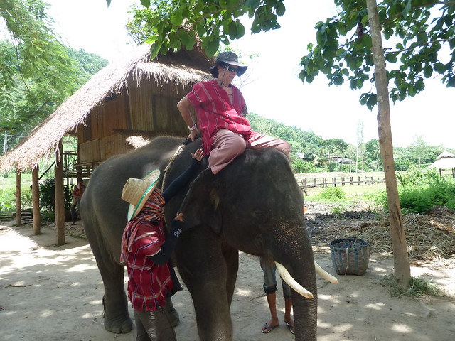 ¡TAILANDIA EN CHANCLETAS! - Blogs de Tailandia - Patara Elephant Farm (25)