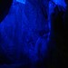 飛騨大鍾乳洞内の滝の写真