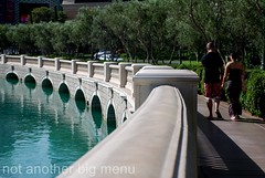 Las Vegas, Nevada - By Bellagio fountain