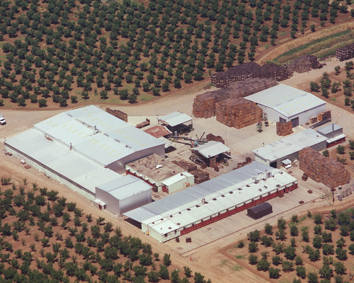 An aerial view of the Wilbur Packing Company in California’s Sacramento Valley shows the company’s production site. As fifth-generation California farmers, the Wilbur family has successfully exported prunes and dates internationally for nearly 20 years. 