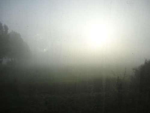 Fog Train 7