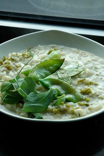 Spring vegetables based risotto with roquefort cheese