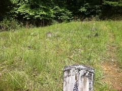  Cemetery 
