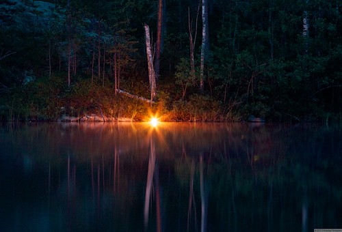 Lakeside forest illumination