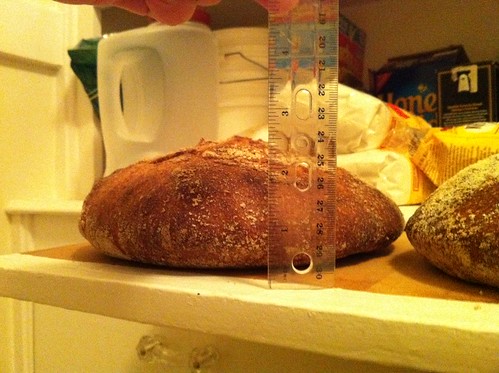 Tartine bread experiment