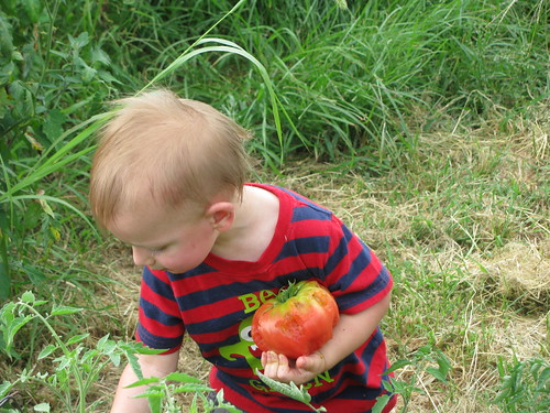 A young boy carries a half-eaten tomato. From Biscoe’s perspective, food like tomatoes becomes more than just a commodity when you are able to meet your customer face-to-face.