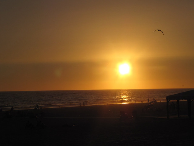 11 La Playa de la Victoria Beach Cádiz Sunset