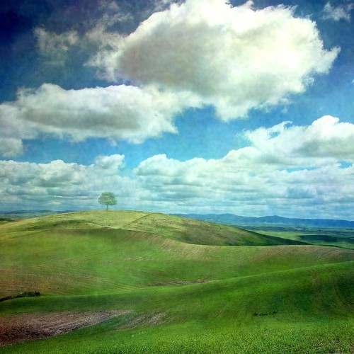 フリー写真素材|自然・風景|丘|雲|フランス|