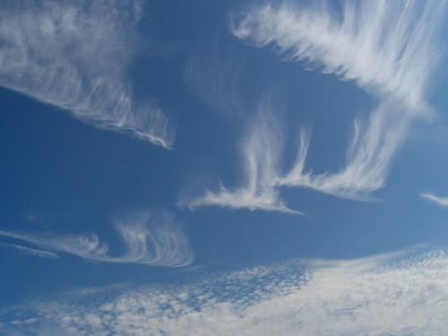 Dragon-clouds