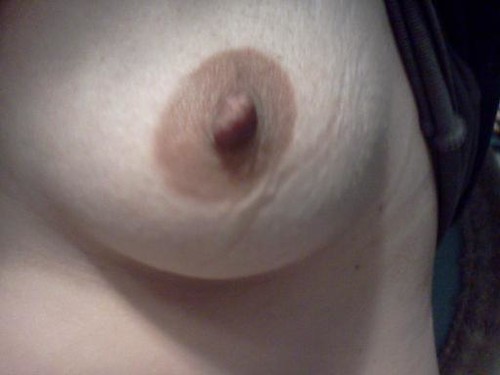 large big fat boobies pics: bigtits