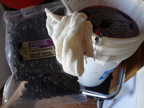 2011.07_wine making (8) grape skins