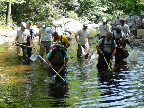 The Grayson Highlands crew particpates in a fish study in partnership with Trout Unlimited