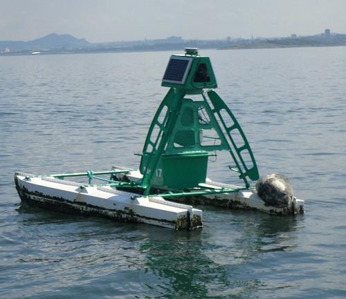 Seal on buoy