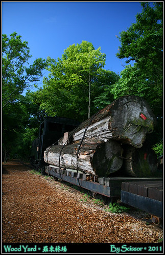 載著太平山木頭的火車