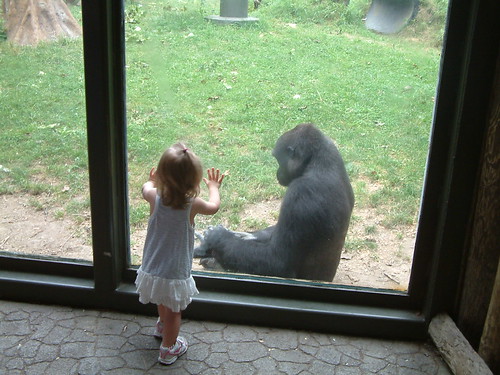 Gorillas are kind !  Mom ! by Sunshine Gorilla