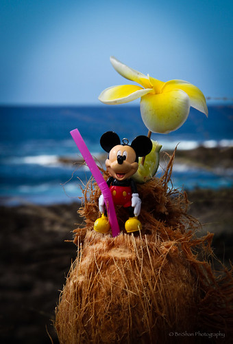 Mickey on a Coconut.jpg by Brian E Mitchell