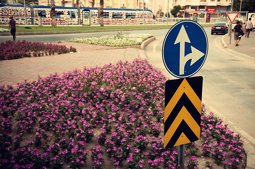 A sign, some plants, a tram... Meydan
