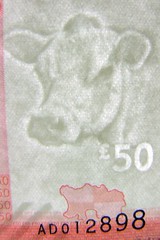 Jersey Cow Watermark on £50 Bank Note