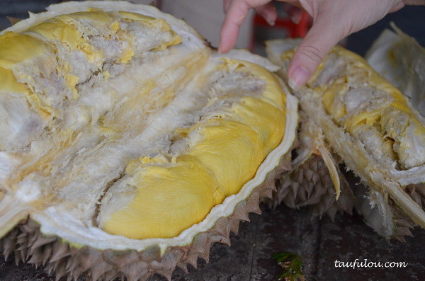 balik pulau durian (5)