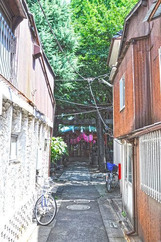 Approach to a shrine of Akiba Jinjya