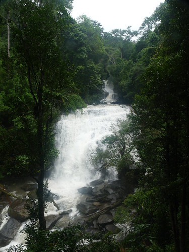 Viaje a Tailandia de 15 días - Blogs of Thailand - La selva y las mejores cascadas de Chiang Mai (Día 3) (6)