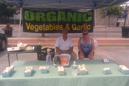 Vincent Cirasole's Organic Garlic at the Copiague Farmer's Market
