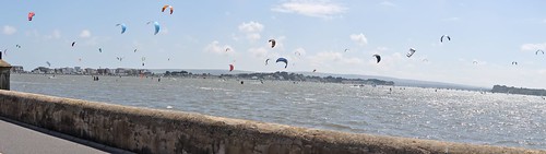 So many Kite's at Poole Harbour