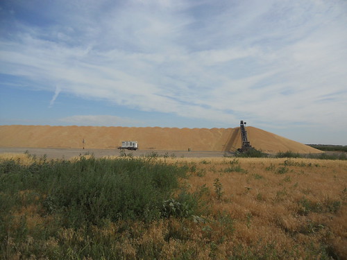 Hemingford wheat pile 