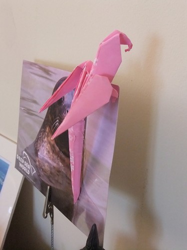 origami macaw