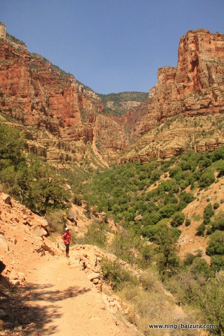 Grand Canyon Kaibab Trail at Roaring Springs looking back up
