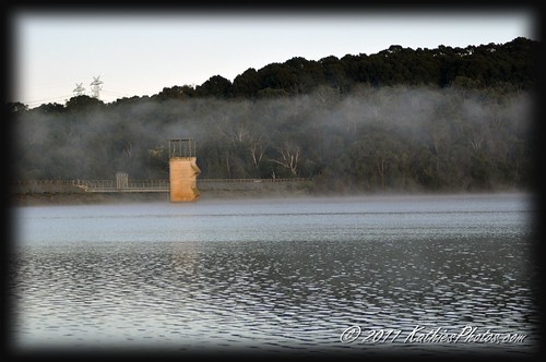 Foggy morning at the lake