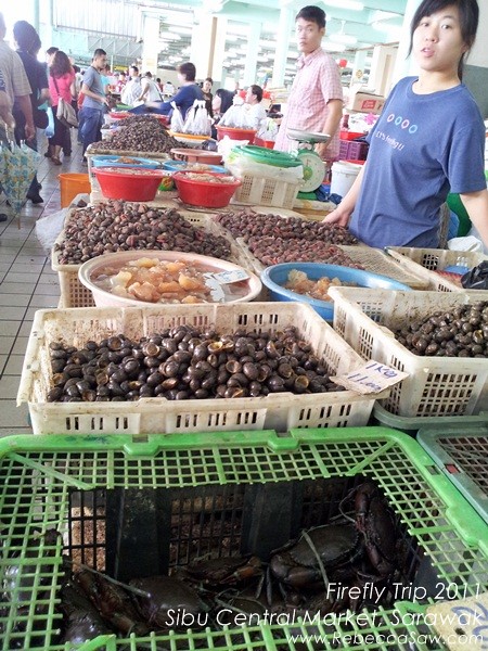 Firefly trip - Sibu Central Market, Sarawak.02-2
