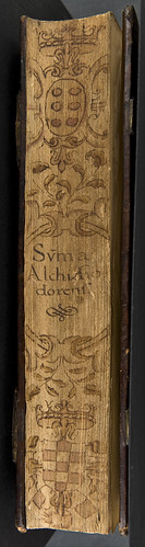 Fore-edge with penwork decoration of Guillermus Altissiodorensis: Summa aurea in quattuor libros Sententiarum Petri Lombardi