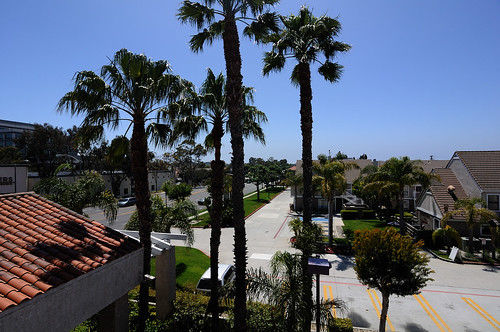 The view from my room at Torrance