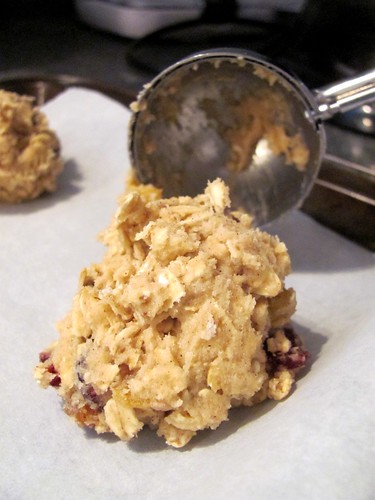 Giada's Oatmeal, Cranberry and Chocolate Chunk Cookies
