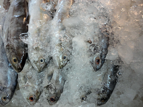 Thailand 23 Market sea food fish