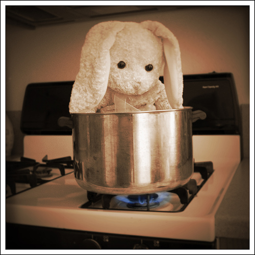 A tongue in cheek rendition of the bunny boiling scene in Fatal Attraction, featuring a stuffed rabbit in a pot on the stove